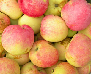 Similar image 264220