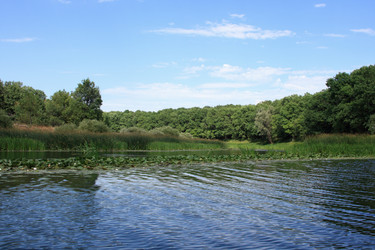 Similar image 264248