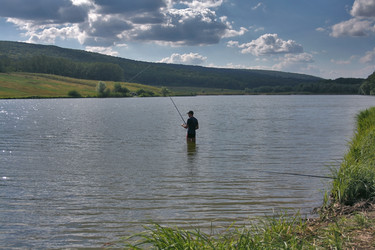 Similar image 264290