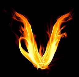 Similar image 264325