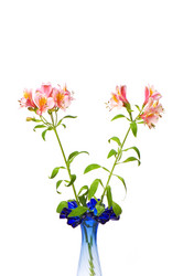 Similar image 264327