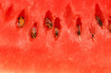 Similar image 264339