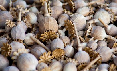 Similar image 264343