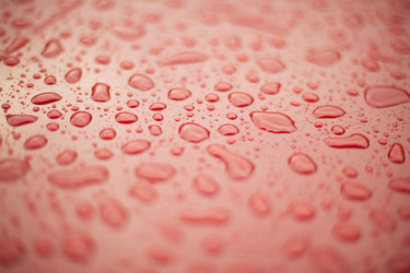 Similar image 264458