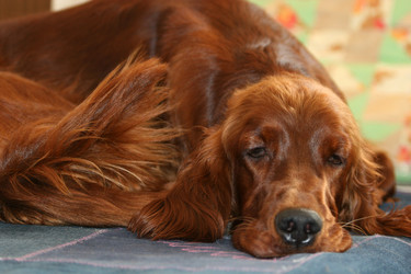 Similar image 264471