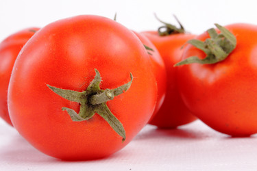 Similar image 264506