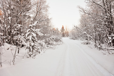 Similar image 264530