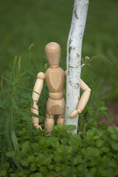 Similar image 264533