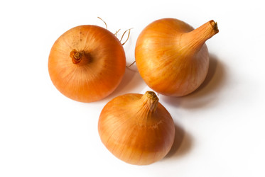 Similar image 264536