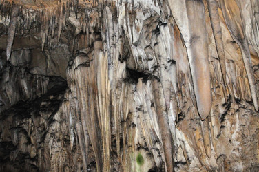 Similar image 264561