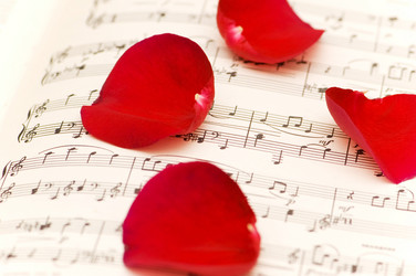 Similar image 264575