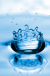 Similar image 264589