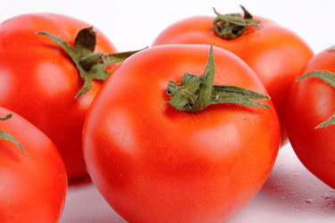 Similar image 264612