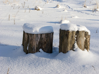 Similar image 264627