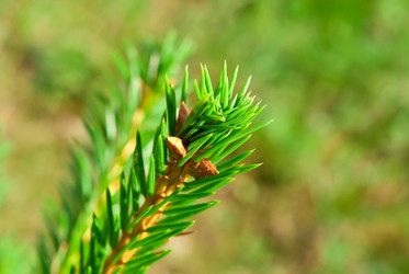 Similar image 264632