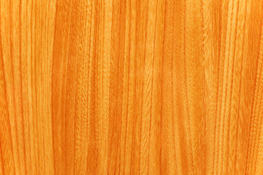 Similar image 264727