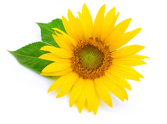 Similar image 264760