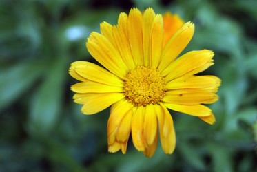 Similar image 264762