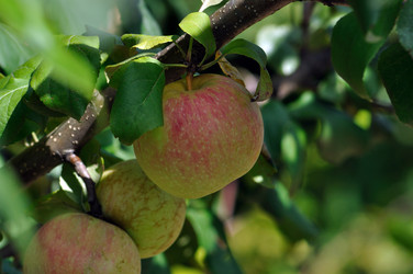 Similar image 264772