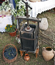 Similar image 264789