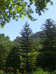 Similar image 264798