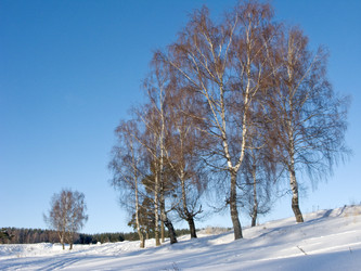 Similar image 264804