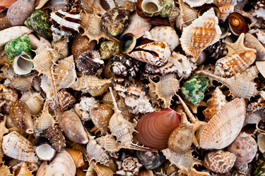 Similar image 264811