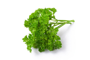 Similar image 264869