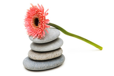 Similar image 264873