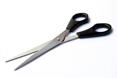 Similar image 264882