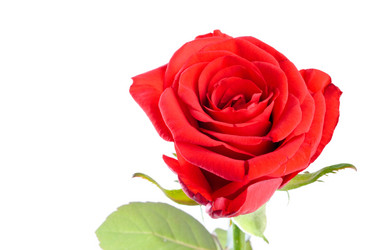 Similar image 264883