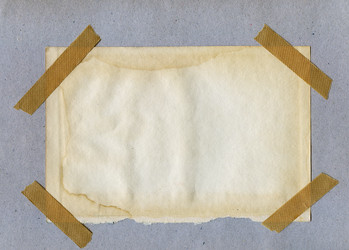 Similar image 264905