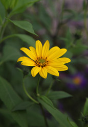 Similar image 264925