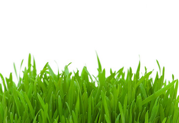 Similar image 264941