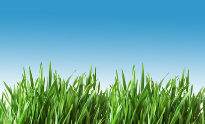 Similar image 264942