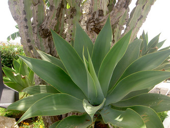 Similar image 264957