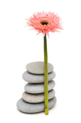 Similar image 264979