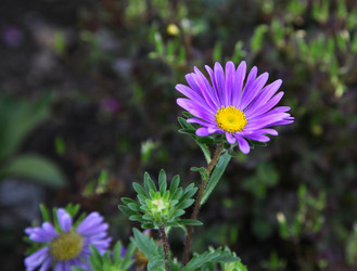 Similar image 265005