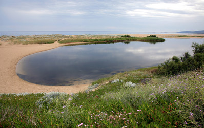 Similar image 265101