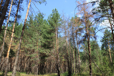 Similar image 265124