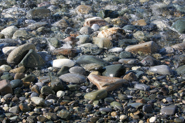 Similar image 265129