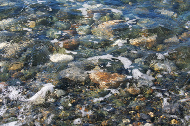 Similar image 265130