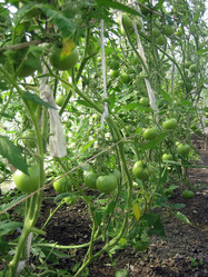 Similar image 265141