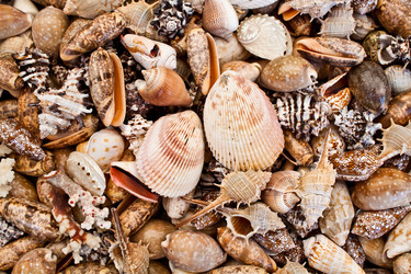 Similar image 265149