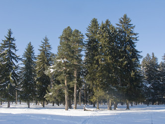 Similar image 265162