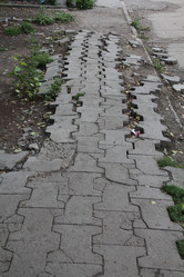 Similar image 265163