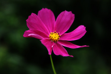 Similar image 265174