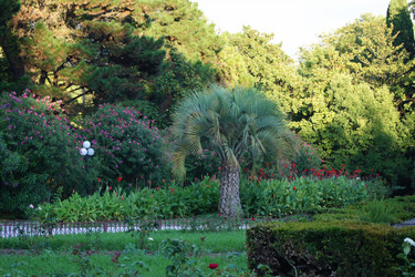 Similar image 265198