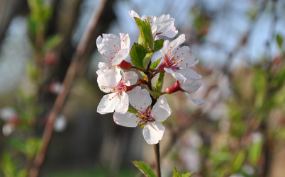 Similar image 265200