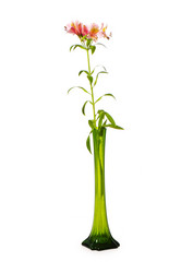 Similar image 265230